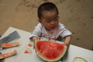 唐僧吃瓜意思,一场穿越时空的美食探险