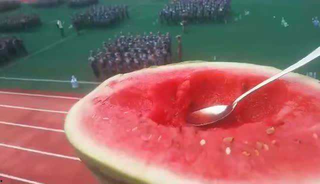 soga学长吃瓜,揭秘Soga学长吃瓜背后的故事与真相