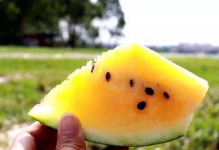 qq黄色吃瓜群,网络乱象下的道德拷问