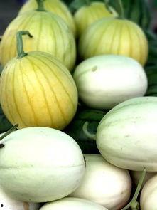 吃瓜赏美,品味生活，畅享视觉盛宴