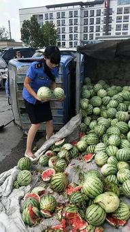 济宁凤凰城吃瓜事件