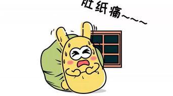 吃瓜群众538,网络舆论场中的“瓜王”传奇