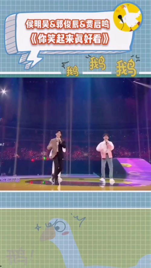 吃瓜鹅爱综艺,揭秘热门节目幕后故事